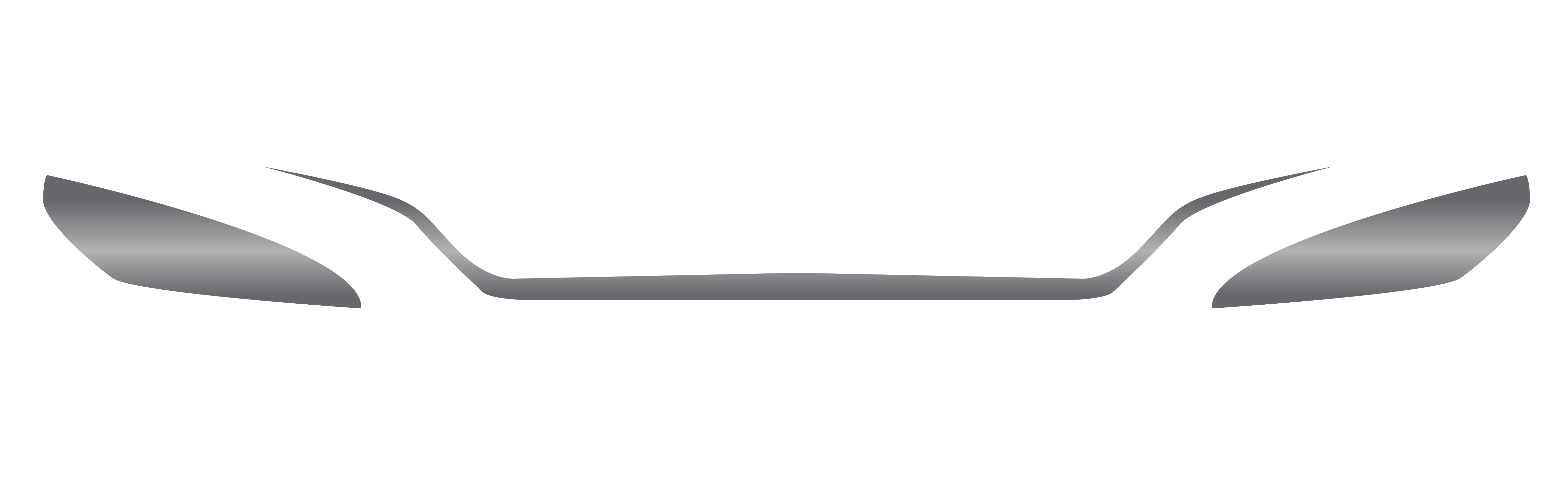 DVQ premier service llc
